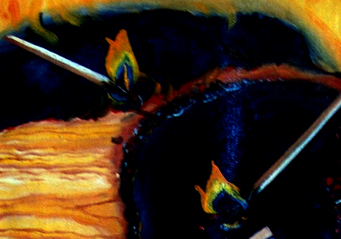 FOGO_detalle3